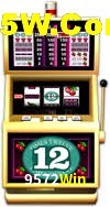 Bonus Features 9572Win
